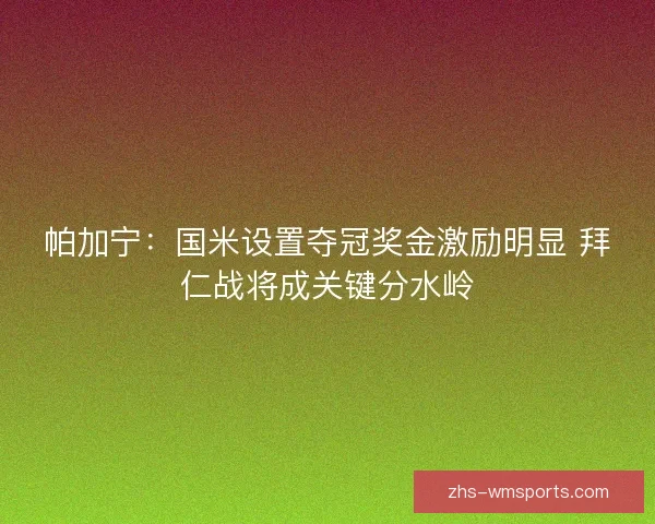 帕加宁：国米设置夺冠奖金激励明显 拜仁战将成关键分水岭