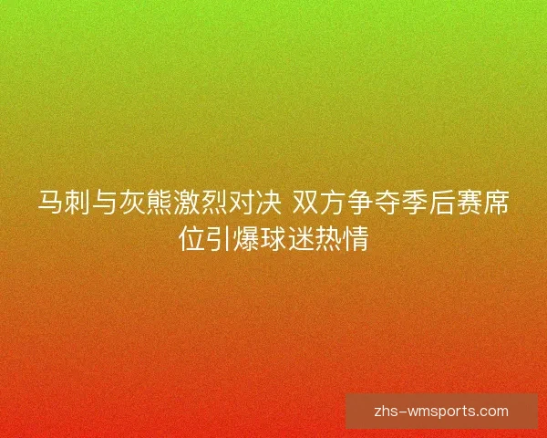 马刺与灰熊激烈对决 双方争夺季后赛席位引爆球迷热情
