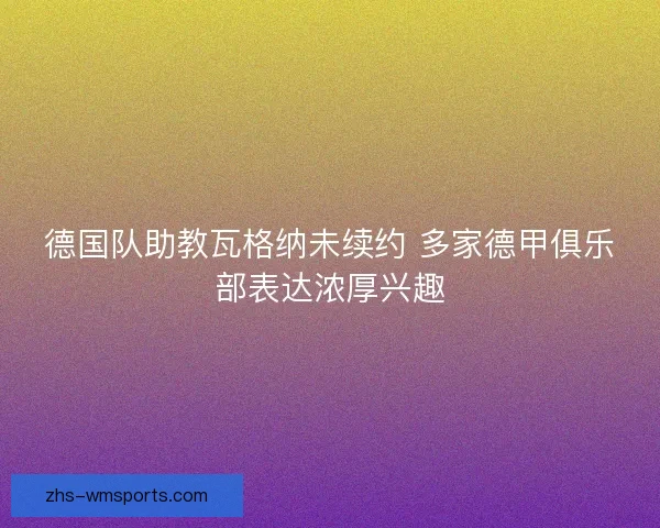 德国队助教瓦格纳未续约 多家德甲俱乐部表达浓厚兴趣